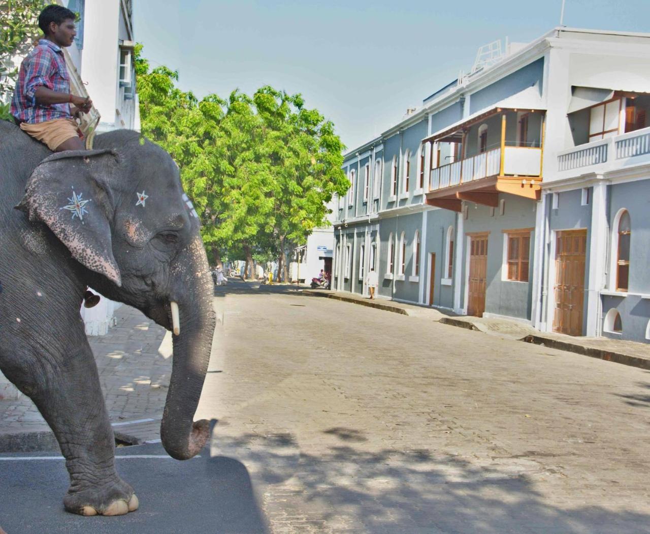 Patricia Guest House Puducherry Exterior foto